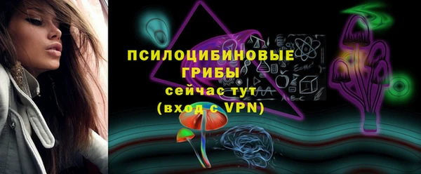 прущие крисы Киренск