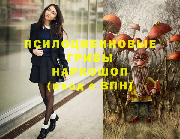 эйфоретик Кинешма