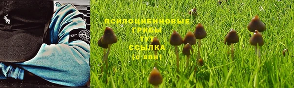 эйфоретик Кинешма