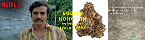 дурь Киреевск
