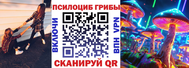 где можно купить   Казань  Галлюциногенные грибы прущие грибы 