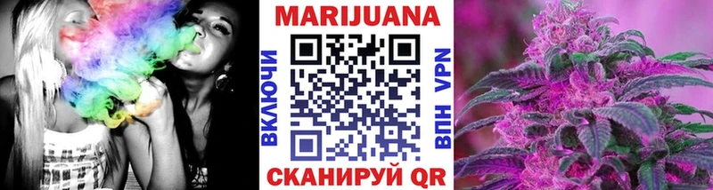 где купить наркоту  Казань  Бошки Шишки SATIVA & INDICA 